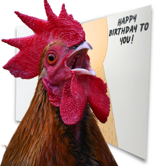 Happy Birthday Rooster Pop Up